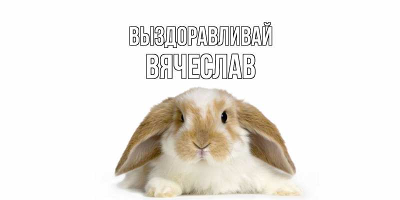 Картинка Выздоравливай, Вячеслав