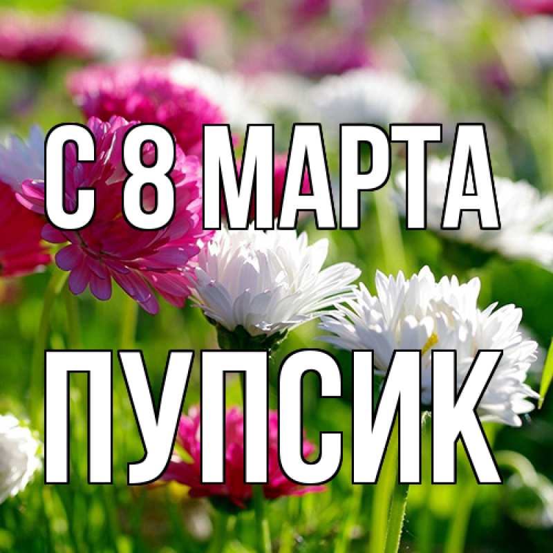 Картинка C 8 МАРТА, пупсик