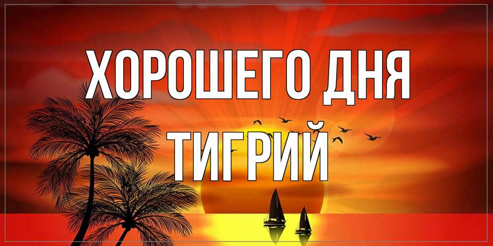 Открытка на каждый день с именем, Тигрий Хорошего дня открытки с пожеланиями хорошего дня Прикольная открытка с пожеланием онлайн скачать бесплатно 