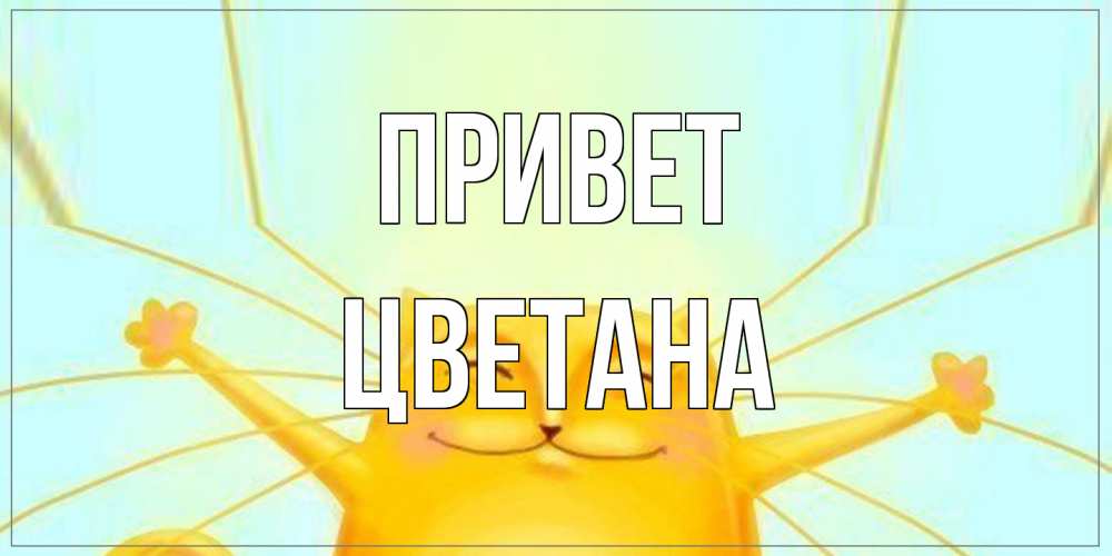 Открытка на каждый день с именем, Цветана Привет кот Прикольная открытка с пожеланием онлайн скачать бесплатно 