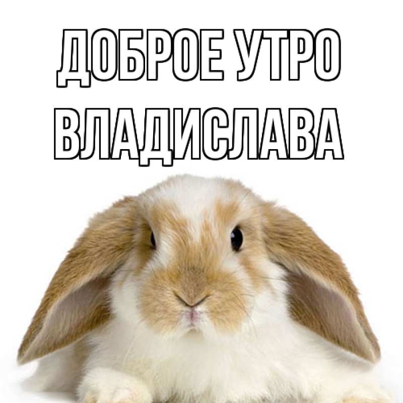 Картинка Доброе утро, Владислава