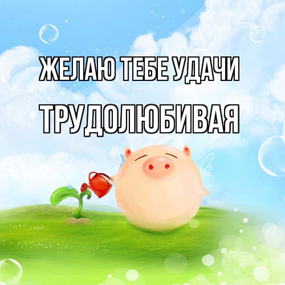 Открытка на каждый день с именем, Трудолюбивая Желаю тебе удачи поросенок поливает цветок. летнее настроение Прикольная открытка с пожеланием онлайн скачать бесплатно 