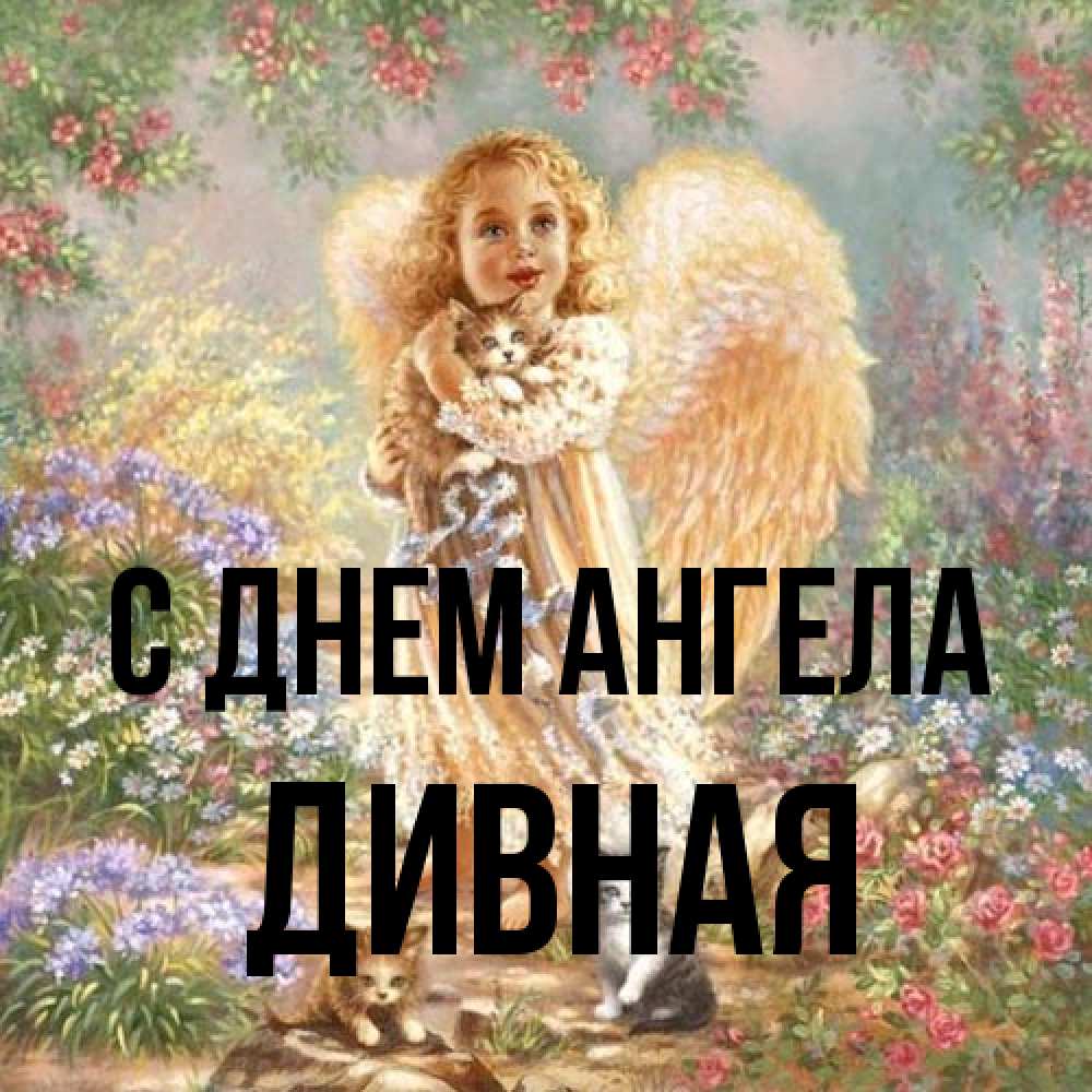 Открытка на каждый день с именем, дивная С днем ангела держит котенка Прикольная открытка с пожеланием онлайн скачать бесплатно 