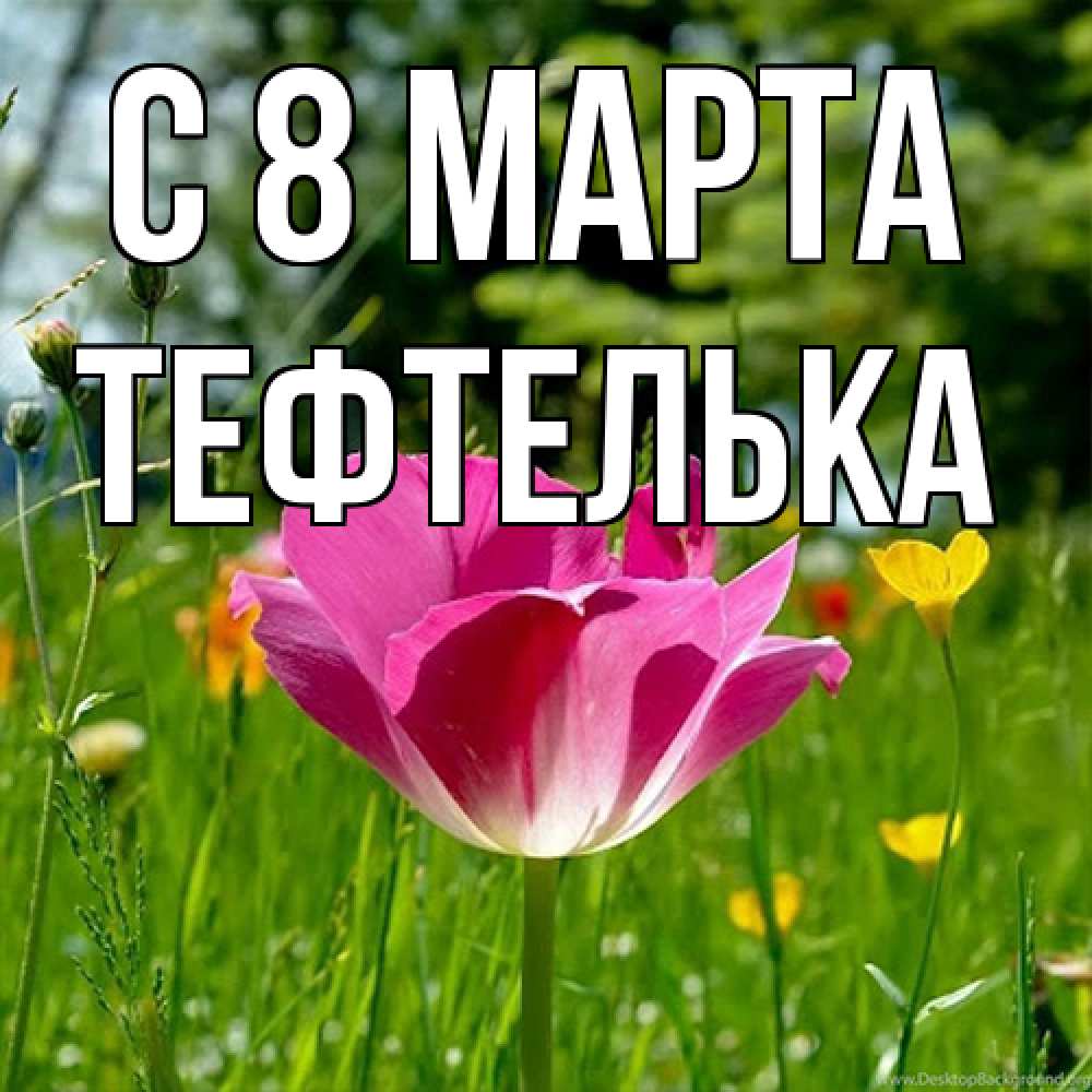 Открытка на каждый день с именем, тефтелька C 8 МАРТА полевые цветы Прикольная открытка с пожеланием онлайн скачать бесплатно 