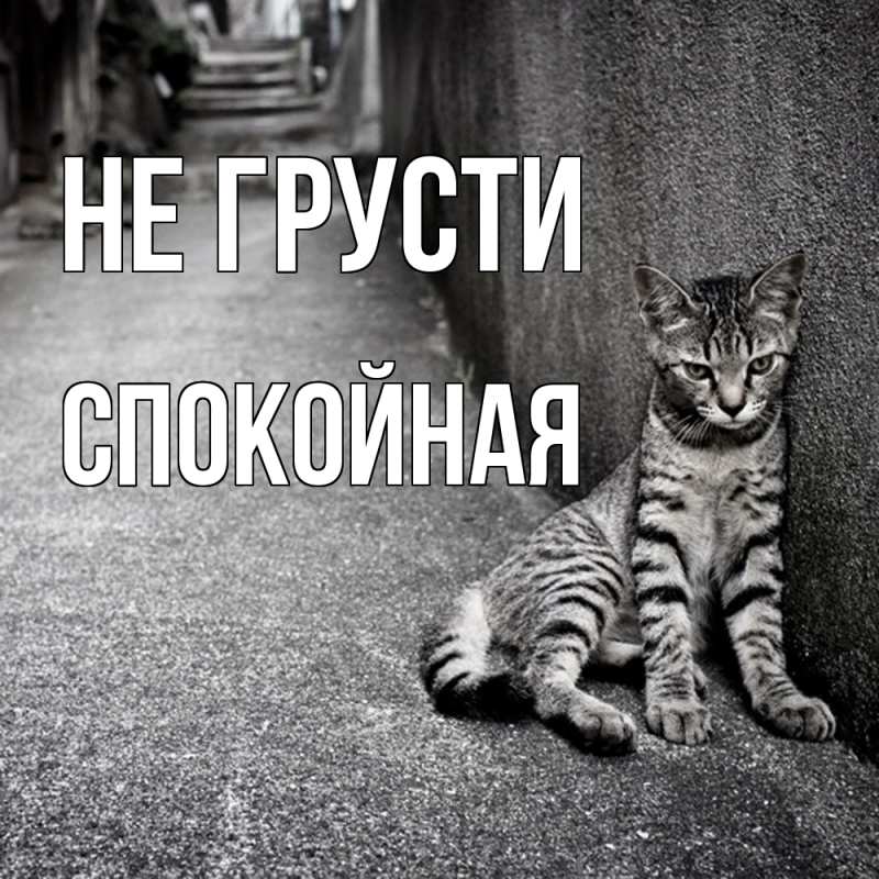 Картинка Не грусти, спокойная
