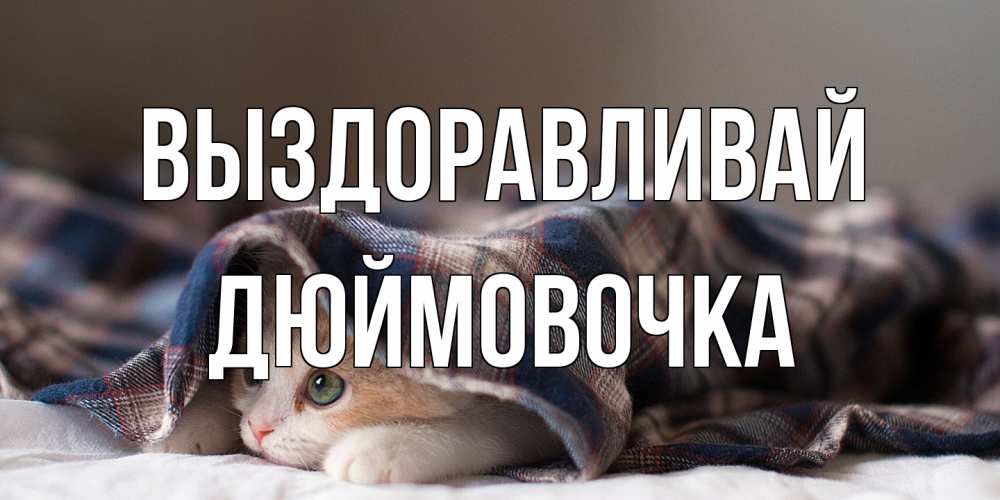 Открытка на каждый день с именем, Дюймовочка Выздоравливай не болейте с котиком Прикольная открытка с пожеланием онлайн скачать бесплатно 