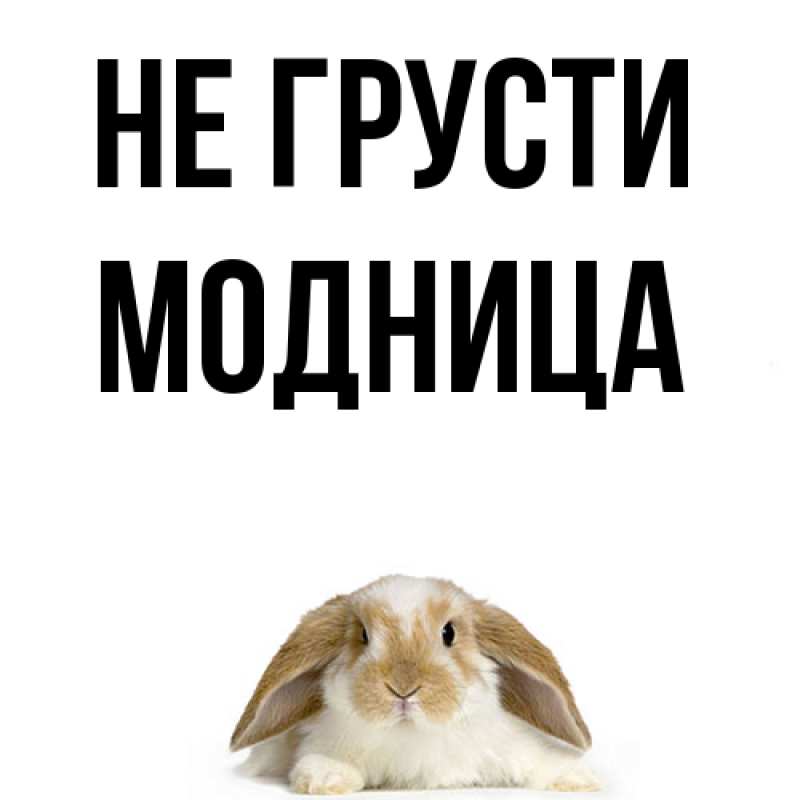 Картинка Не грусти, Модница