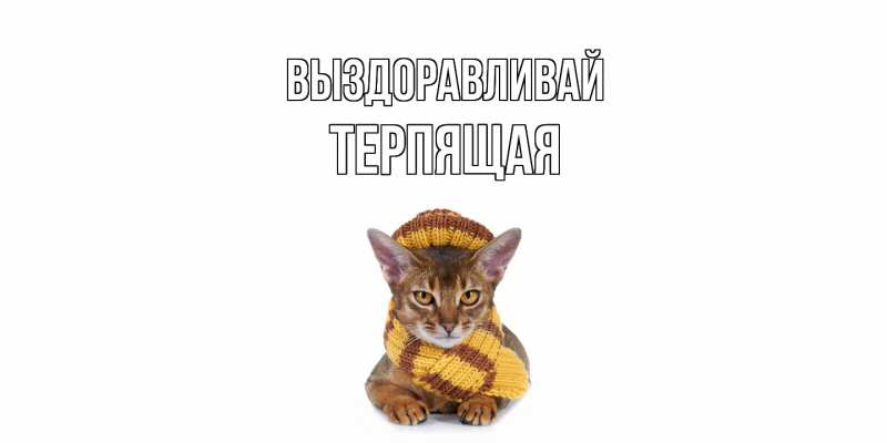 Картинка Выздоравливай, Терпящая