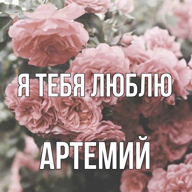 Картинка Я тебя люблю, Артемий