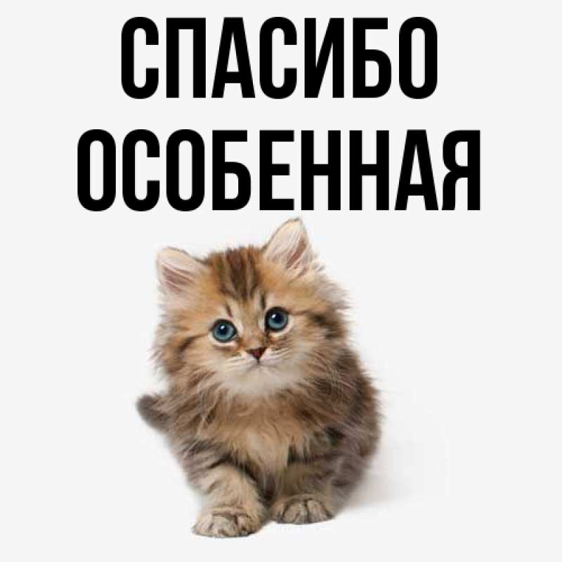 Картинка Спасибо, Особенная