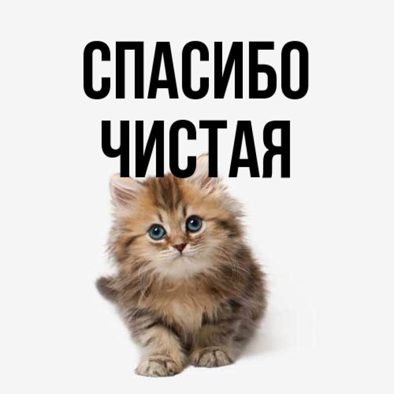 Картинка Спасибо, Чистая