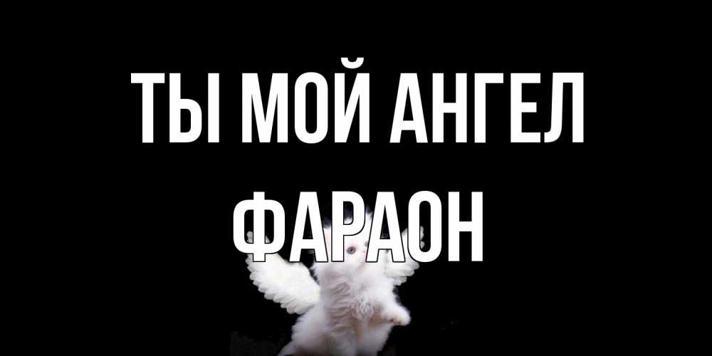 Открытка на каждый день с именем, Фараон Ты мой ангел Кот ангел Прикольная открытка с пожеланием онлайн скачать бесплатно 