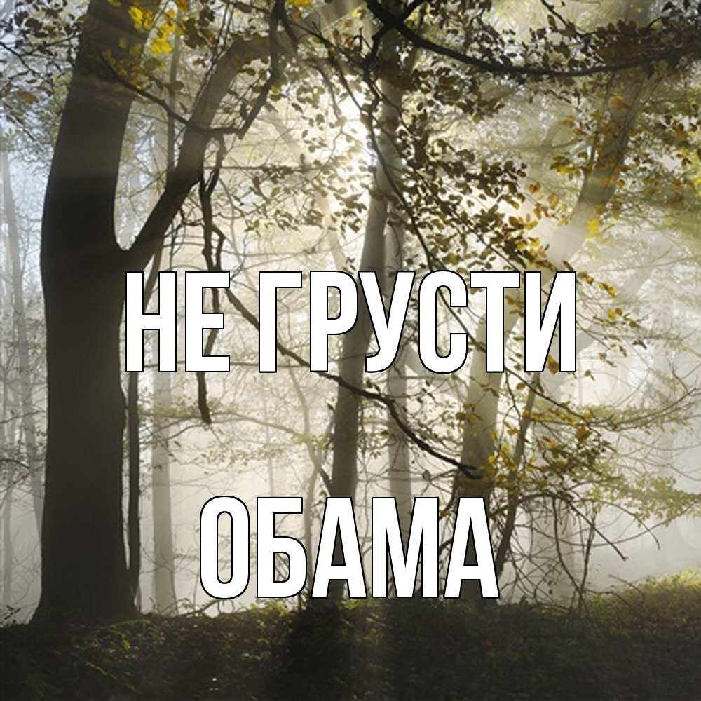 Открытка на каждый день с именем, Обама Не грусти лес и свет Прикольная открытка с пожеланием онлайн скачать бесплатно 