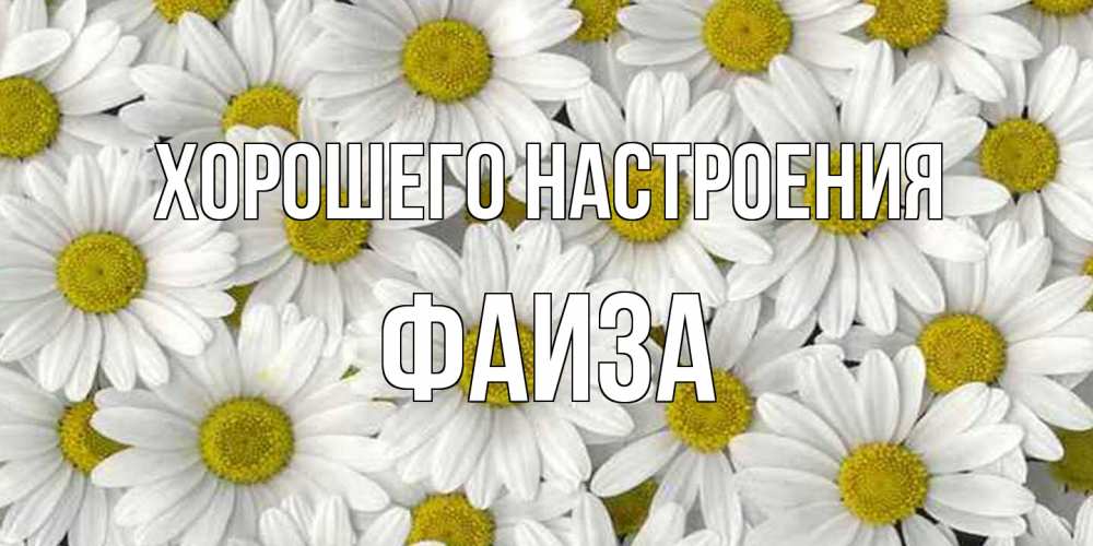 Открытка на каждый день с именем, Фаиза Хорошего настроения поляна ромашек Прикольная открытка с пожеланием онлайн скачать бесплатно 