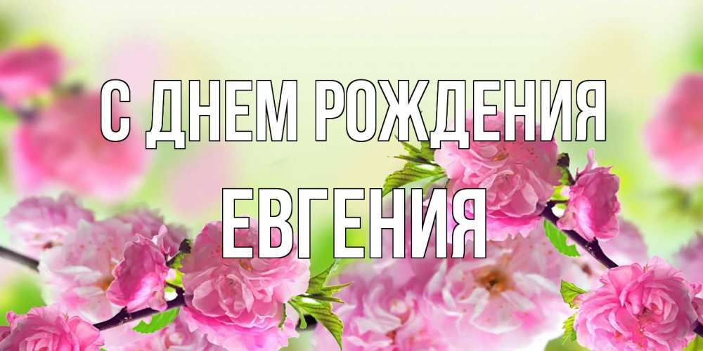 Открытка на каждый день с именем, Евгения С днем рождения веточки с цветками Прикольная открытка с пожеланием онлайн скачать бесплатно 