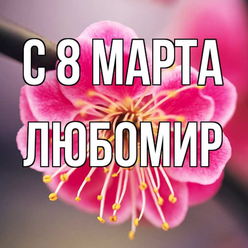 Картинка C 8 МАРТА, Любомир