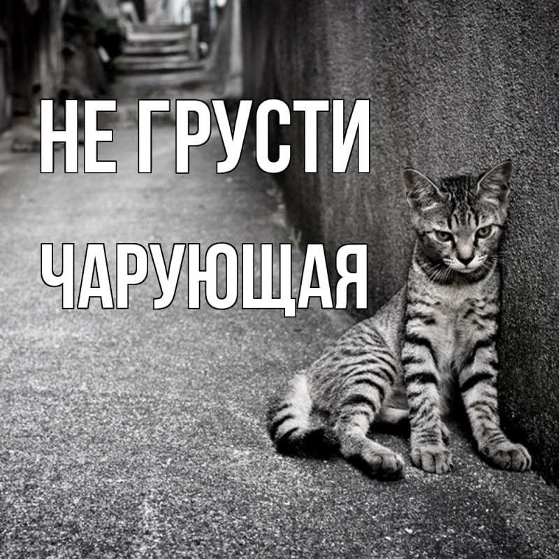 Картинка Не грусти, Чаpующая