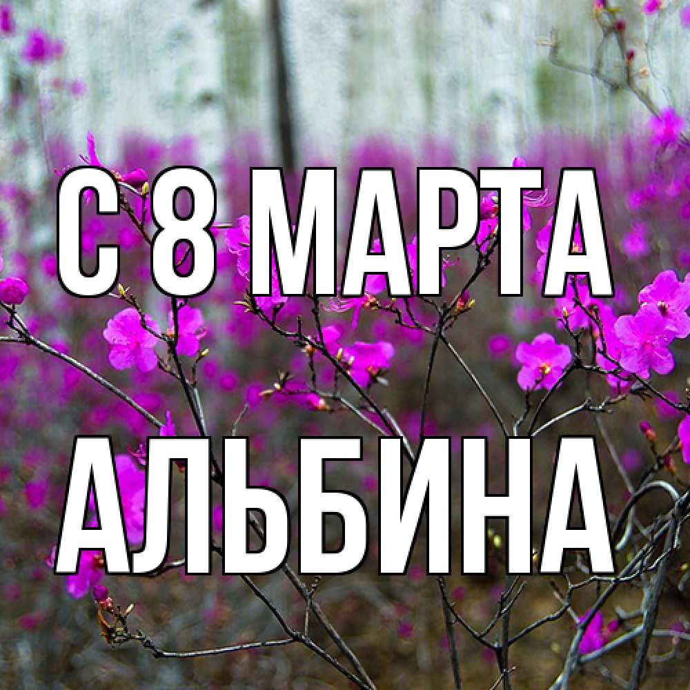 Открытка на каждый день с именем, Альбина C 8 МАРТА дикие цветы Прикольная открытка с пожеланием онлайн скачать бесплатно 