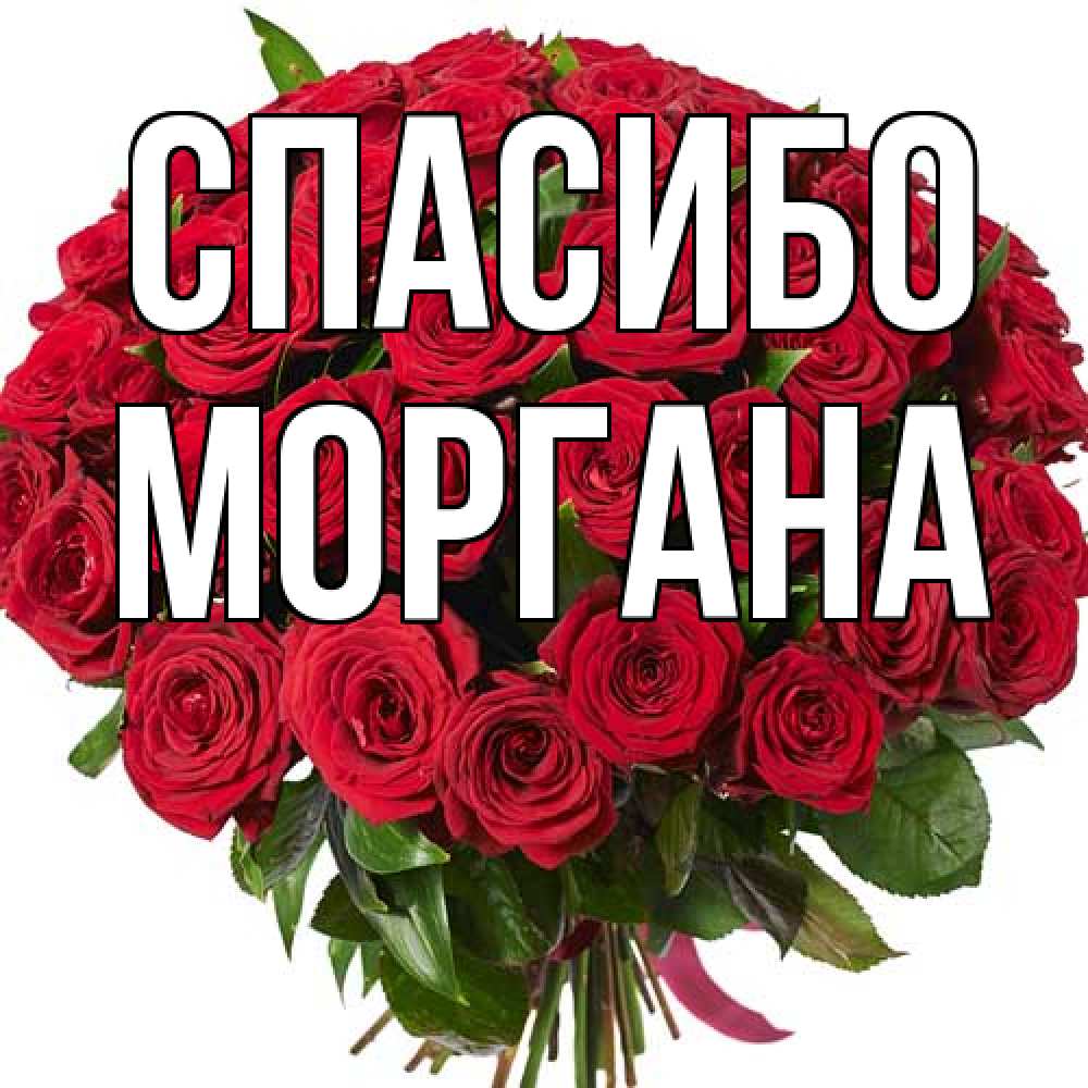 Открытка на каждый день с именем, Моргана Спасибо букет красных роз Прикольная открытка с пожеланием онлайн скачать бесплатно 