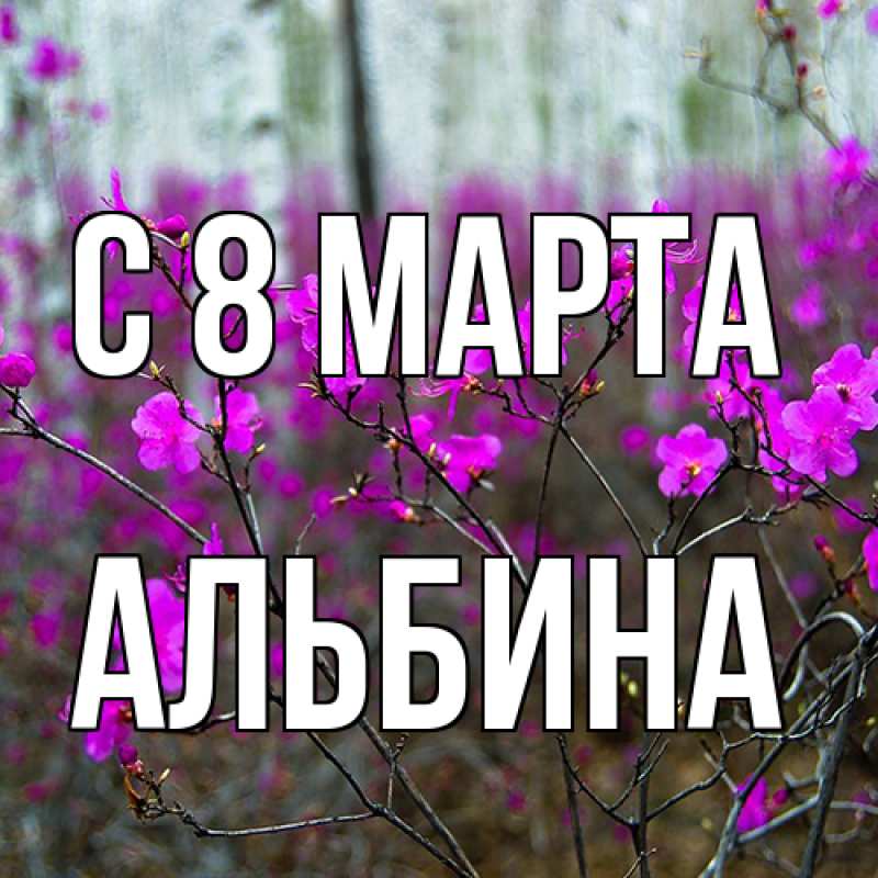 Картинка C 8 МАРТА, Альбина