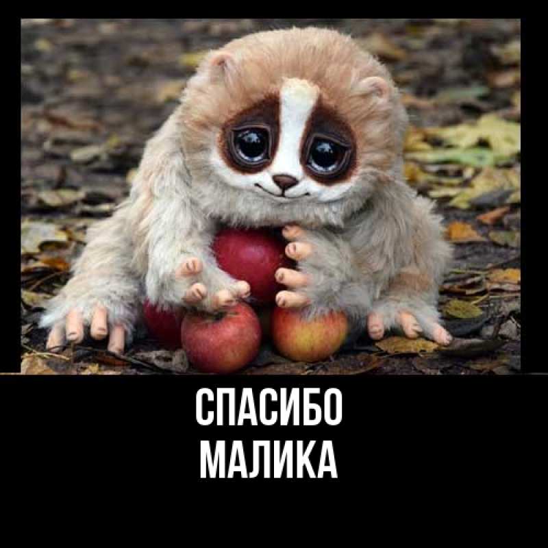 Картинка Спасибо, Малика