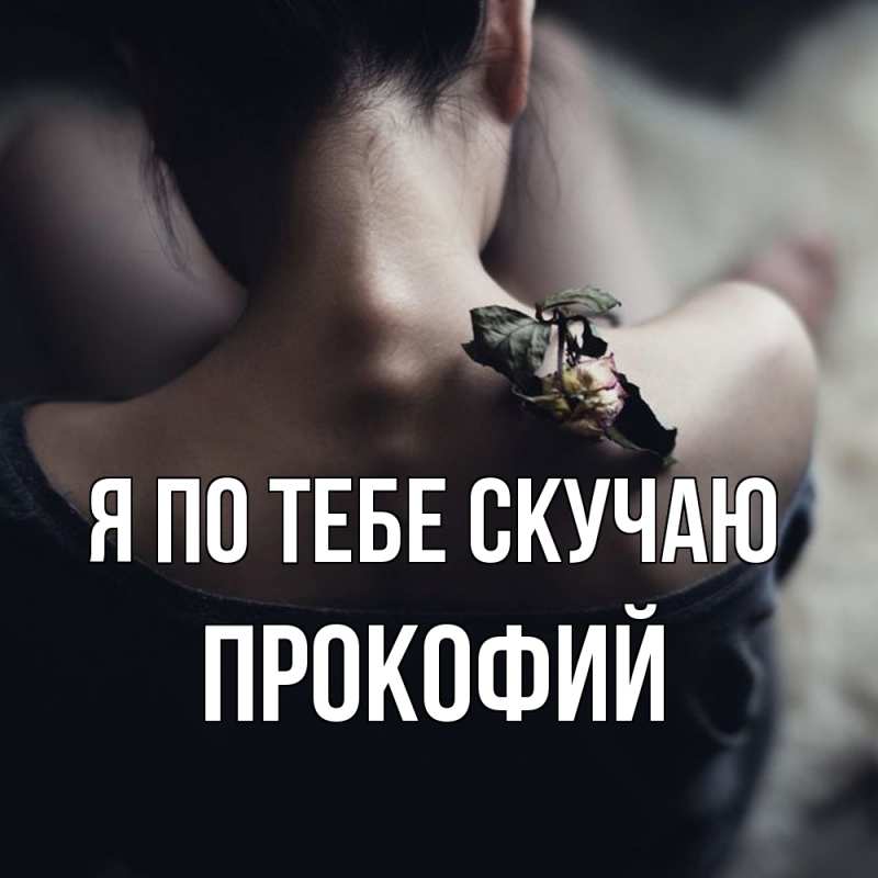 Картинка Я по тебе скучаю, Прокофий