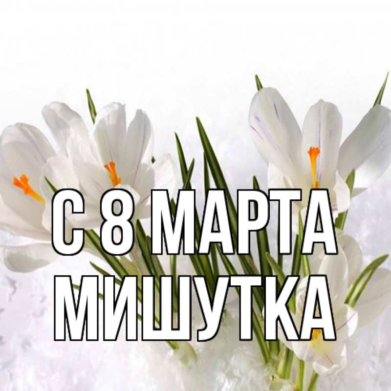 Картинка C 8 МАРТА, Мишутка