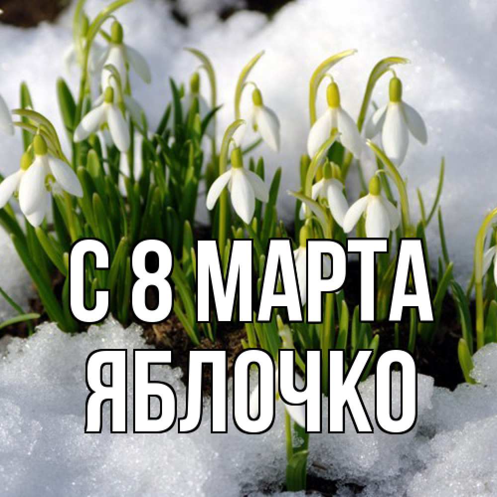 Открытка на каждый день с именем, яблочко C 8 МАРТА цветы весенние Прикольная открытка с пожеланием онлайн скачать бесплатно 