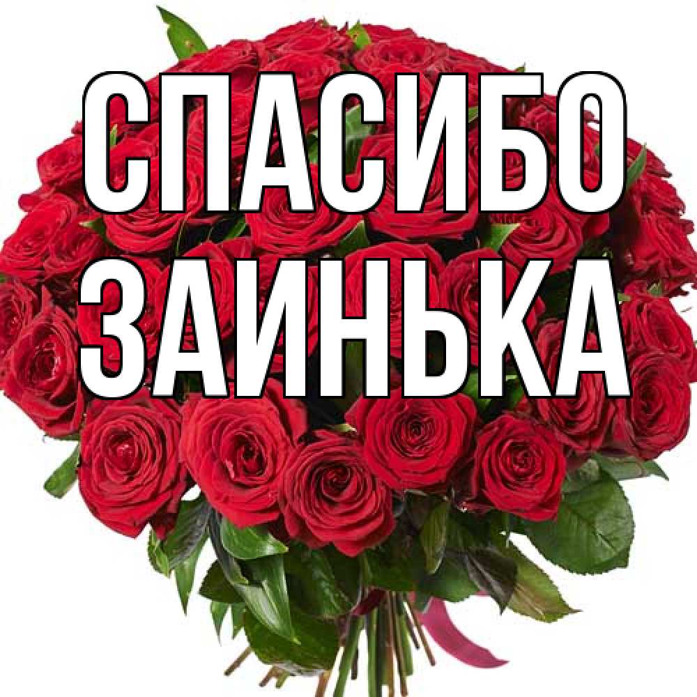 Открытка на каждый день с именем, Заинька Спасибо букет красных роз Прикольная открытка с пожеланием онлайн скачать бесплатно 