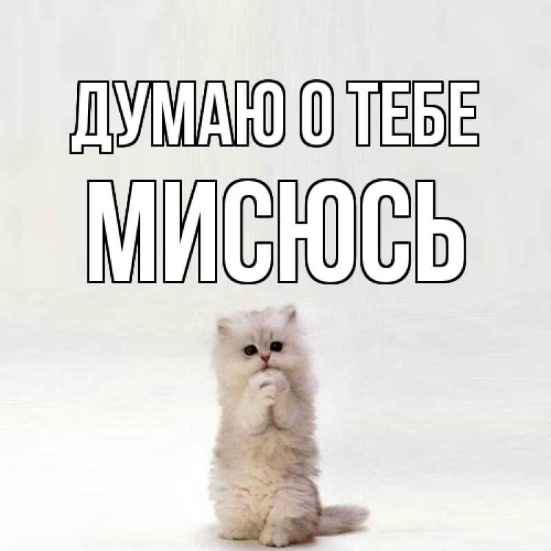Картинка Думаю о тебе, мисюсь