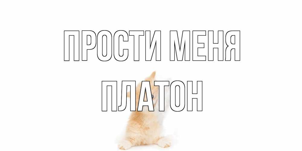 Открытка на каждый день с именем, Платон Прости меня кот Прикольная открытка с пожеланием онлайн скачать бесплатно 