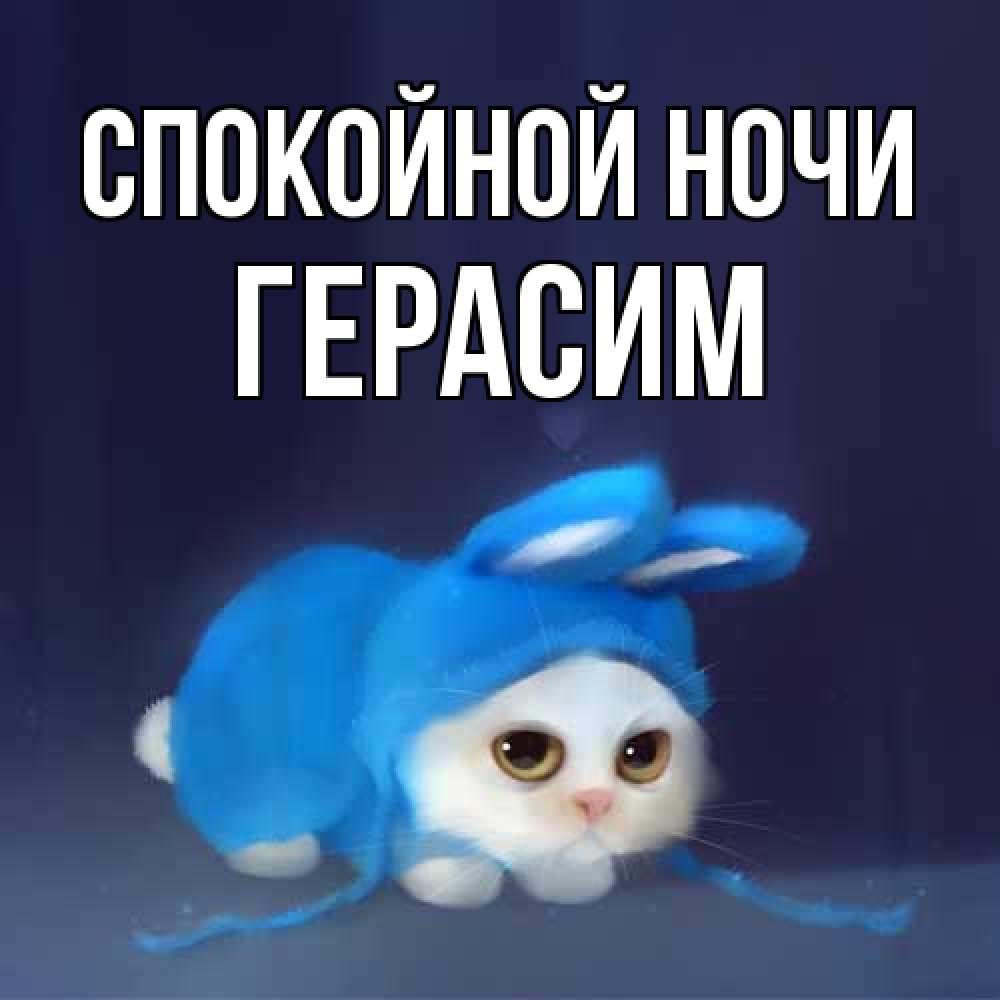 Открытка на каждый день с именем, Герасим Спокойной ночи кот в голубом костюме кролика с ушками Прикольная открытка с пожеланием онлайн скачать бесплатно 