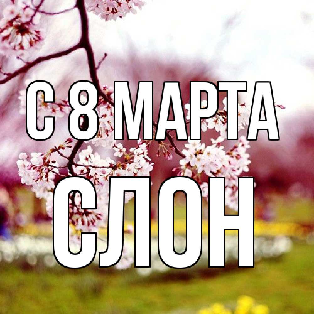 Открытка на каждый день с именем, Слон C 8 МАРТА яблоня Прикольная открытка с пожеланием онлайн скачать бесплатно 