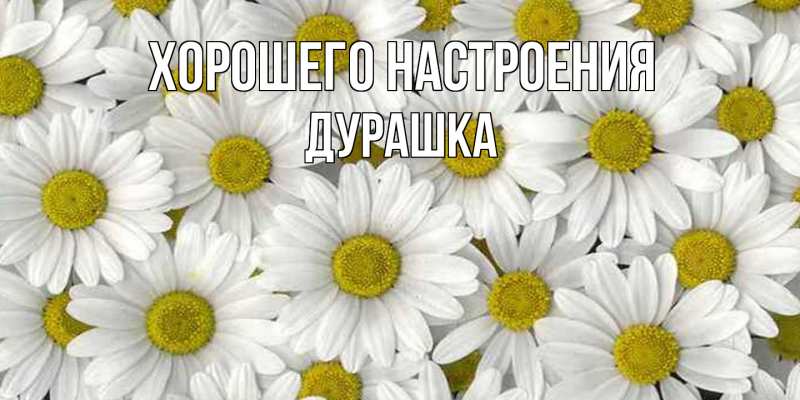 Картинка Хорошего настроения, Дурашка