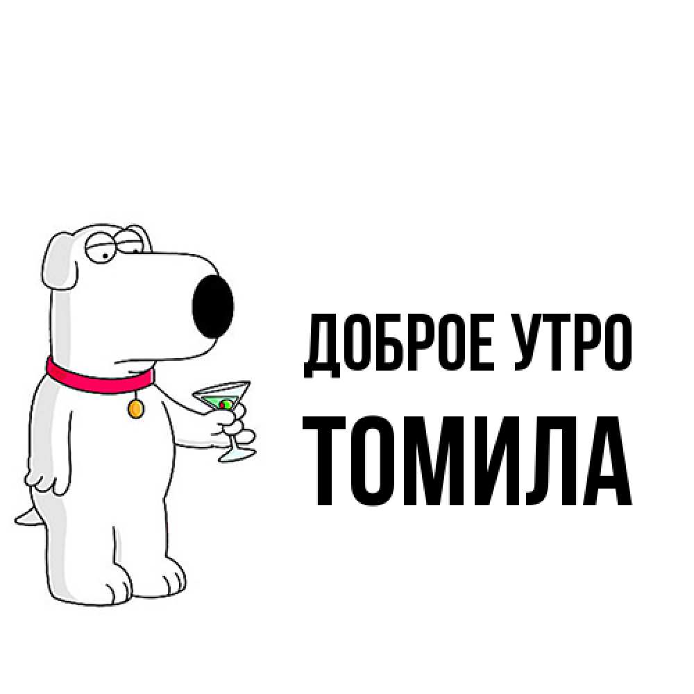 Открытка на каждый день с именем, Томила Доброе утро герои мультфильмов белый пес Прикольная открытка с пожеланием онлайн скачать бесплатно 