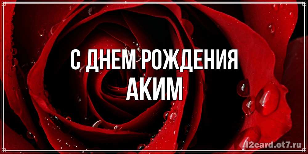 Открытка на каждый день с именем, Аким С днем рождения крупная бордовая роза Прикольная открытка с пожеланием онлайн скачать бесплатно 