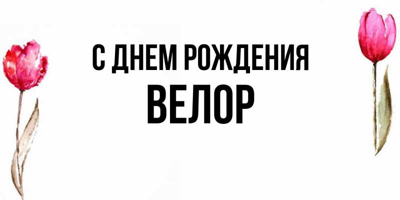 Картинка С днем рождения, Велор