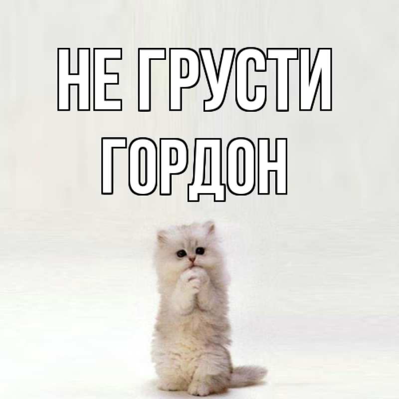 Картинка Не грусти, Гордон