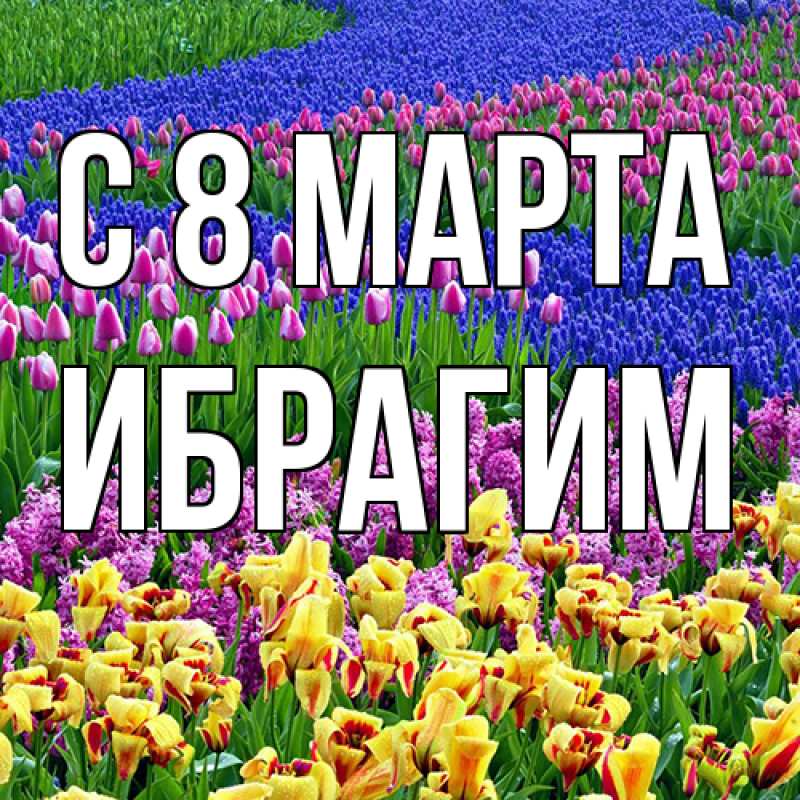Картинка C 8 МАРТА, Ибрагим