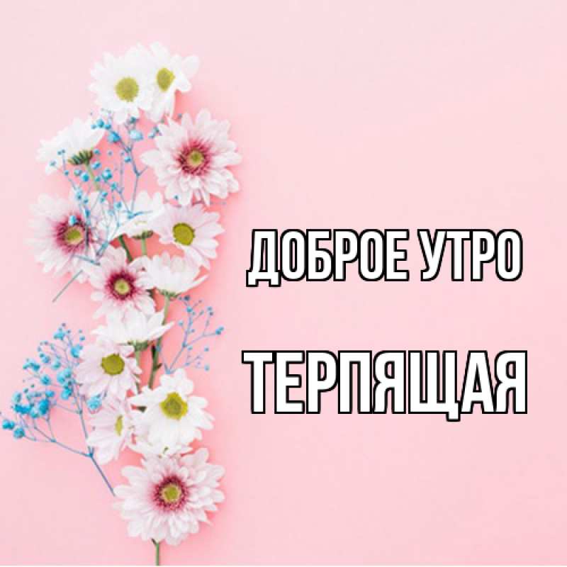 Картинка Доброе утро, Терпящая