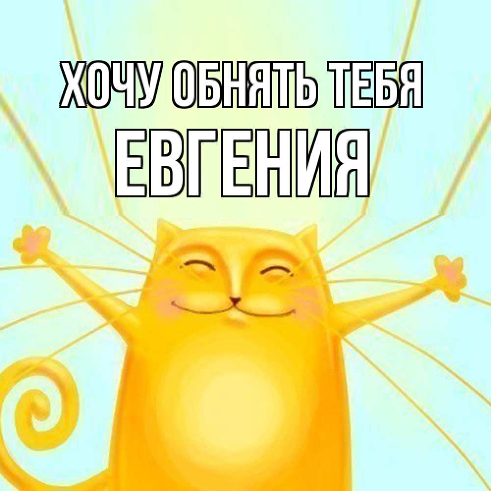 Открытка на каждый день с именем, Евгения Хочу обнять тебя солнечный обнимашечный кот Прикольная открытка с пожеланием онлайн скачать бесплатно 
