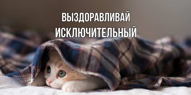 Картинка Выздоравливай, Исключительный