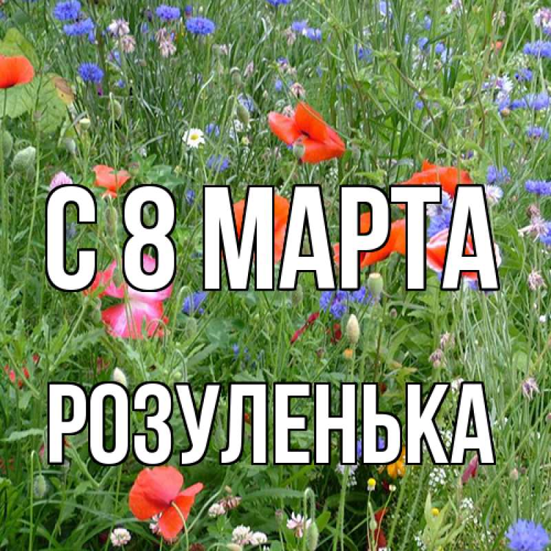 Картинка C 8 МАРТА, Розуленька