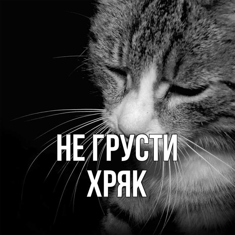 Картинка Не грусти, Хряк