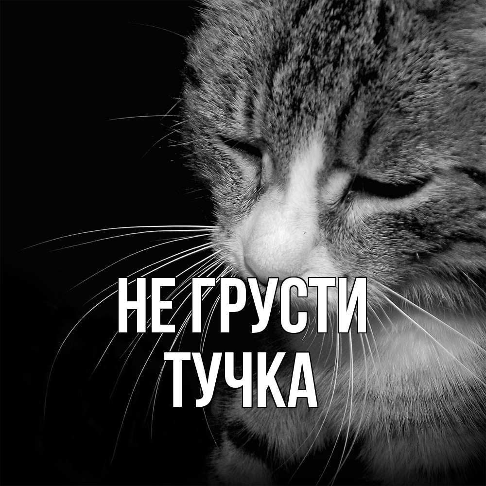 Открытка на каждый день с именем, Тучка Не грусти грустный котик Прикольная открытка с пожеланием онлайн скачать бесплатно 