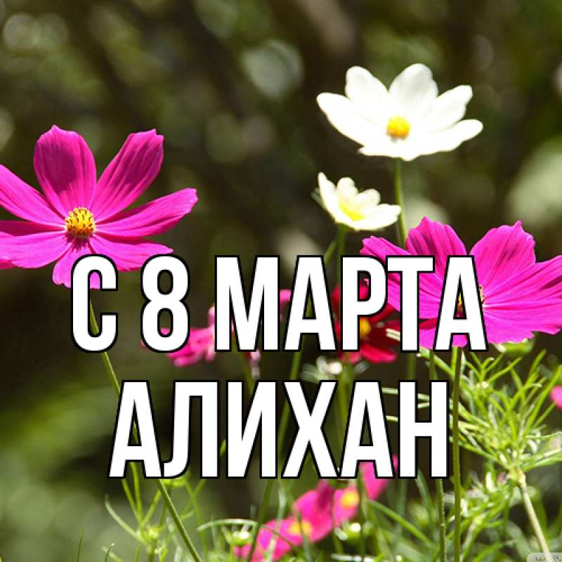 Картинка C 8 МАРТА, Алихан