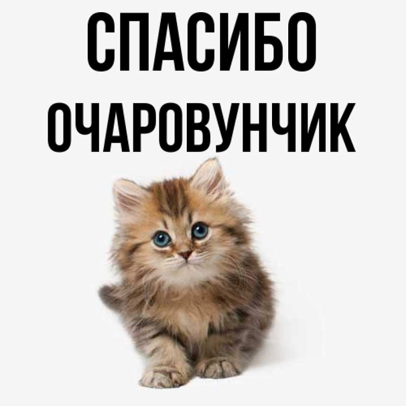 Картинка Спасибо, Очаpовунчик