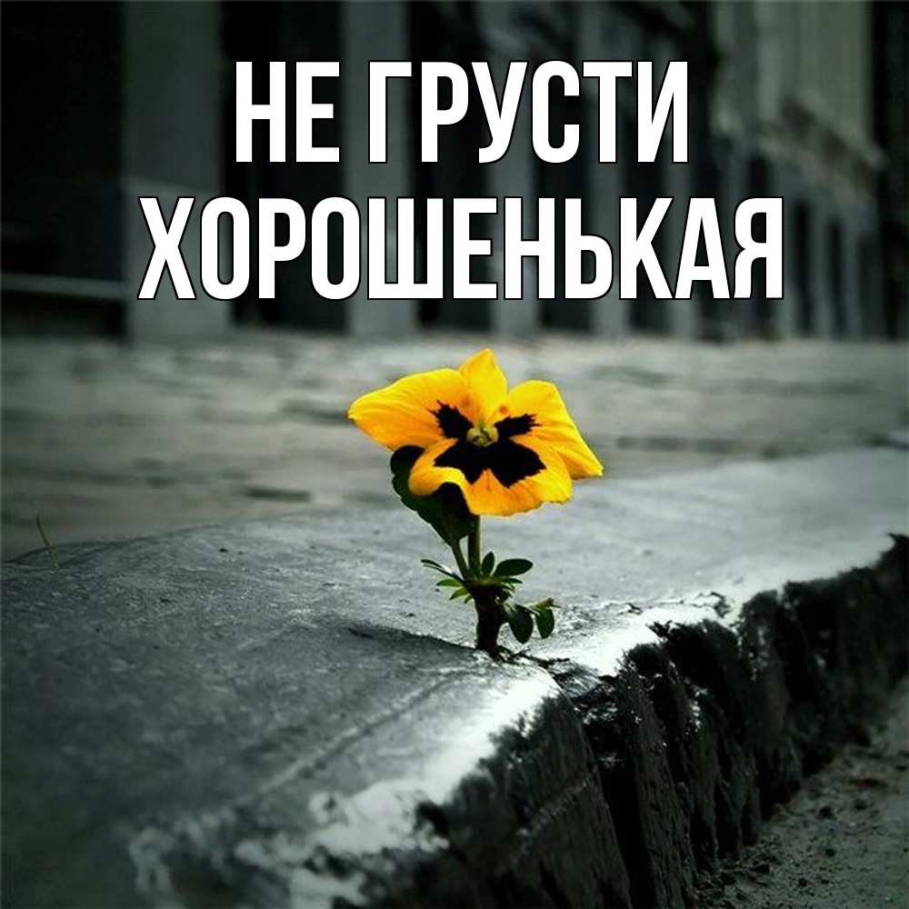 Открытка на каждый день с именем, хорошенькая Не грусти не сдавайся Прикольная открытка с пожеланием онлайн скачать бесплатно 