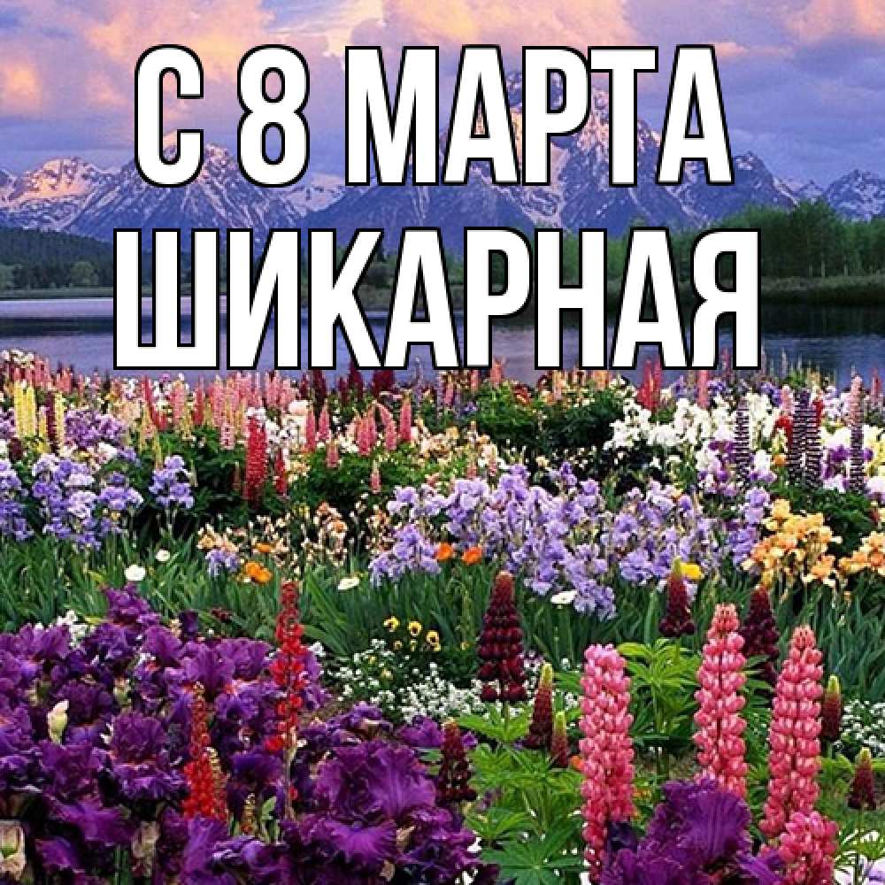 Открытка на каждый день с именем, шикарная C 8 МАРТА международный женский день Прикольная открытка с пожеланием онлайн скачать бесплатно 