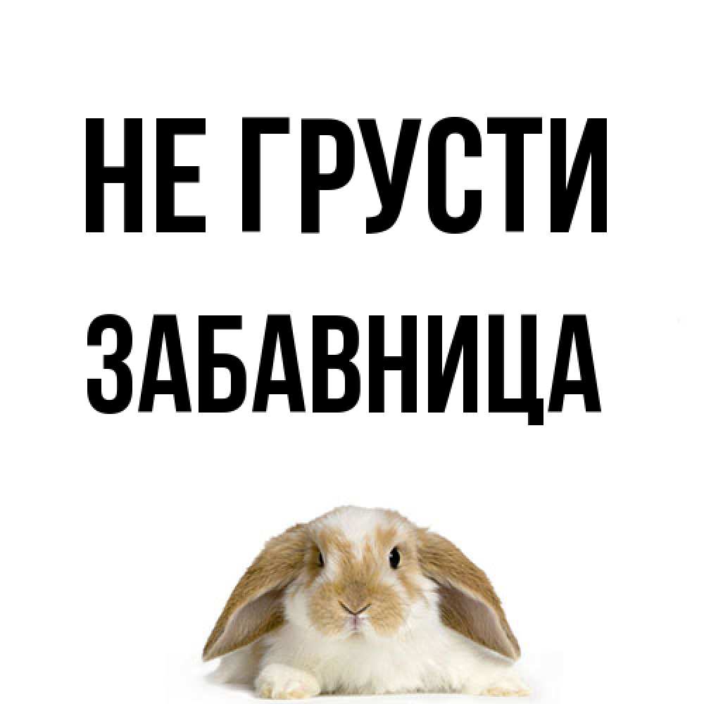 Открытка на каждый день с именем, Забавница Не грусти коричнево белый заяц с большими ушками Прикольная открытка с пожеланием онлайн скачать бесплатно 
